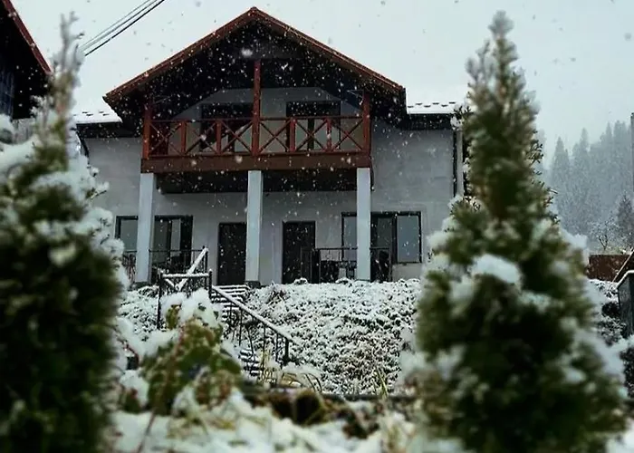 Villagoria Villa Slavske
